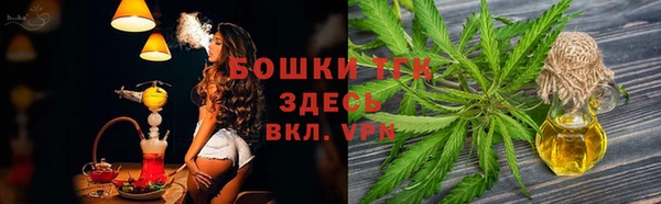 тгк Горно-Алтайск