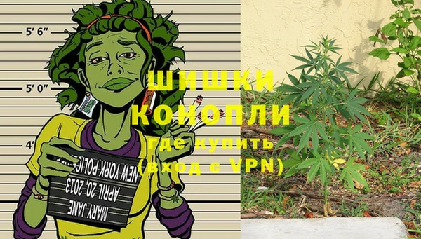 тгк Горно-Алтайск